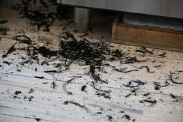 Korte woningbrand in Sint Pancras door fruitmand