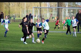 De kampioenen schoolvoetbal van Dijk en Waard zijn bekend