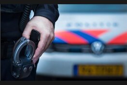 Drie aanhoudingen voor mishandeling tijdens Weidepop