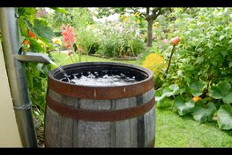 Nieuw: subsidie Klimaat en Water voor inwoners Dijk en Waard