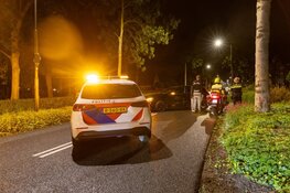 Tientallen koeien ontsnapt aan Middenweg, auto raakt beschadigd