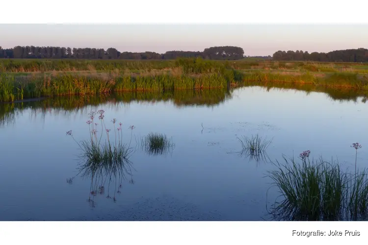 Wandeling Geestmerambacht op 17 aug