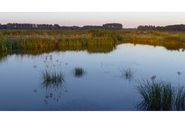 Natuurwandeling Geestmerambacht / Kleimeer op zondag 21 september