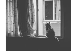 Innovatieve zonwering met zuignap voor buitenramen