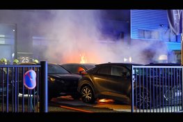 Metershoge vlammen op industrieterrein: meerdere auto's in brand, mogelijk brandstichting