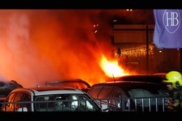 Metershoge vlammen op industrieterrein: meerdere auto's in brand, mogelijk brandstichting
