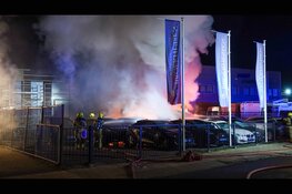 Metershoge vlammen op industrieterrein: meerdere auto's in brand, mogelijk brandstichting