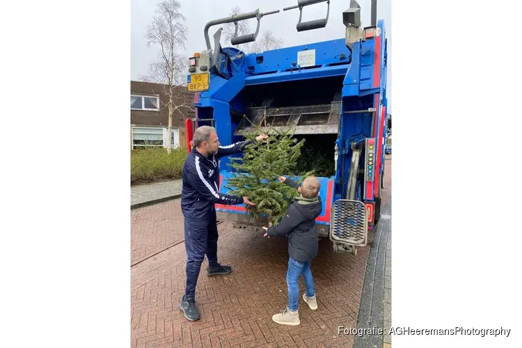 Lever je kerstboom in en verdien 50 cent per boom
