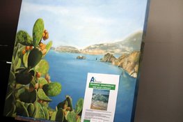 Veel belangstelling Open Dag Atelier 6