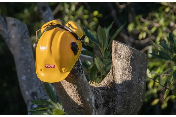 78 Bomen langs provinciale wegen vervangen in verband met de verkeersveiligheid