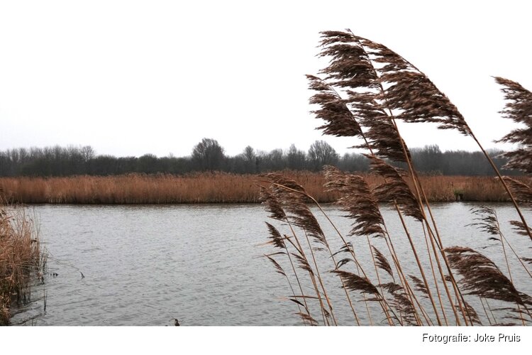 Natuurwandeling op zondag 15 februari door het Geestmerambacht