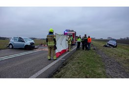 Persoon overleden na frontale botsing op N242
