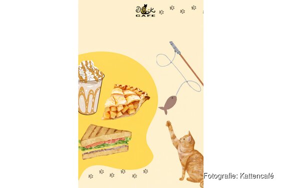 Diverse vacatures bij het Kattencafé