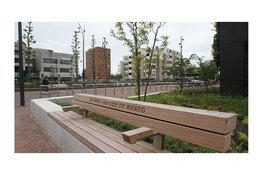 Koolkopjes markeren wandelroute De Band van Dijk en Waard