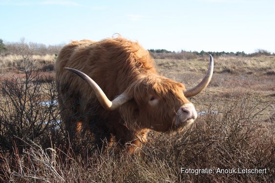 Geniet van de lente in eigen regio: De mooiste dagjes uit op een rij