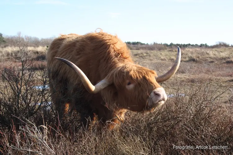 Geniet van de lente in eigen regio: De mooiste dagjes uit op een rij