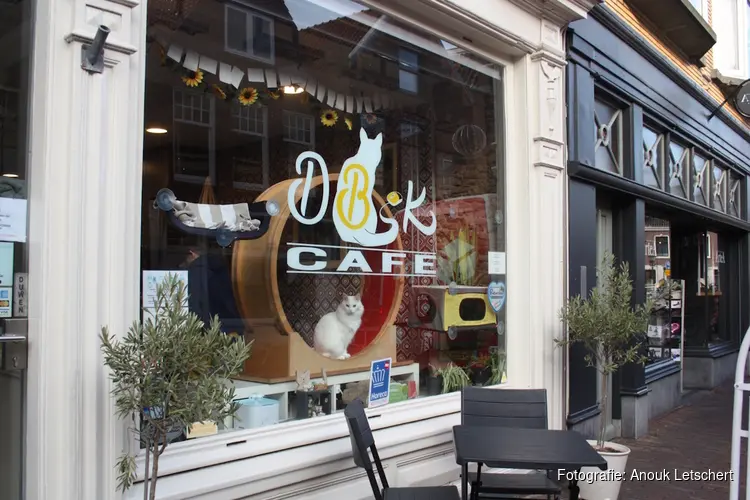 Het Digibeet & Katten Café: Een café met een missie