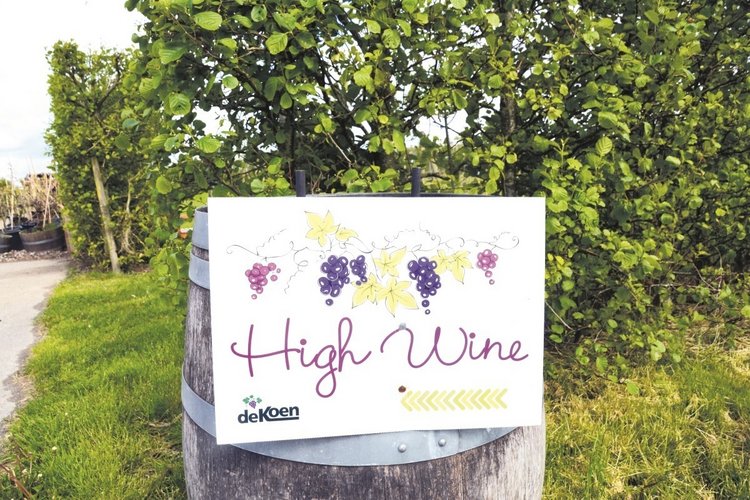 Wijndomein De Koen is klaar voor het nieuwe seizoen