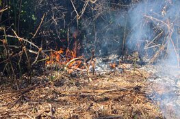 Omstanders voorkomen erger bij bermbrand in Zuid-Scharwoude, flinke rook trekt over de weg