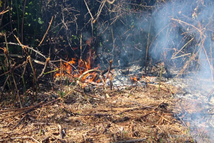 Omstanders voorkomen erger bij bermbrand in Zuid-Scharwoude, flinke rook trekt over de weg