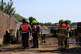 Koeien zakken door vloer van mestkelder in Noord-Scharwoude