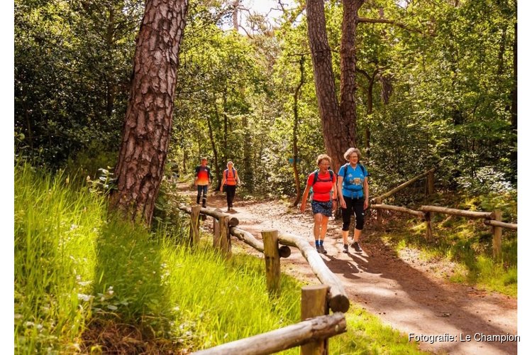 Grootste 4daagse wandeltocht van Noord-Holland De 4 van Alkmaar van start