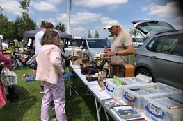 Van zolderopruiming tot verzamelobject op de kofferbakmarkt Strand van Luna