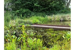 Ierse klanken brengen zomerse sfeer naar Hortus Alkmaar