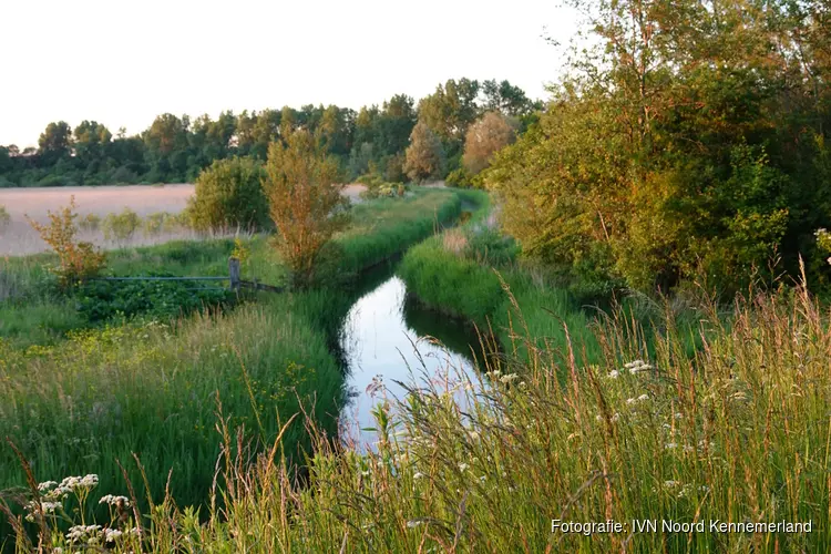 Ga mee met de natuurwandeling op zondag 19 juli door Geestmerambacht