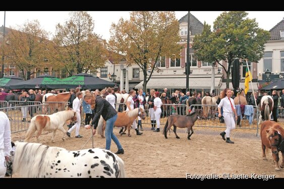 Landbouwdag Alkmaar: waar traditie en innovatie samenkomen
