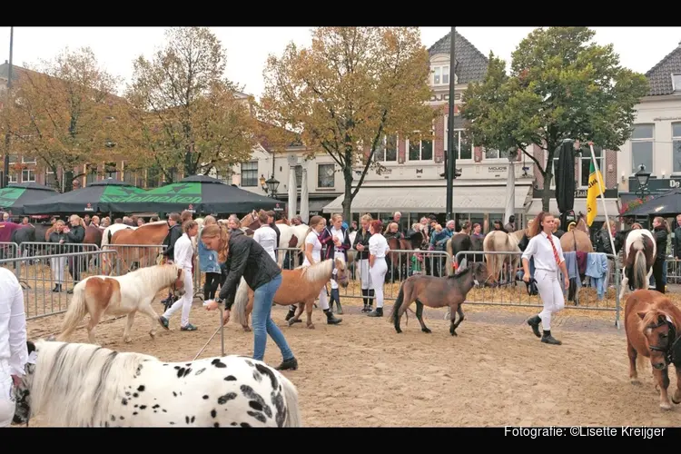 Landbouwdag Alkmaar: waar traditie en innovatie samenkomen