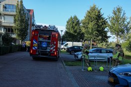 Rietbrand op eilandje aan Langoort in Broek op Langedijk