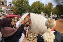 Landbouwdag brengt dieren en traditie naar Alkmaar