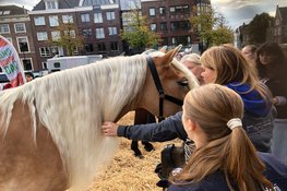 Landbouwdag brengt dieren en traditie naar Alkmaar