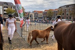 Landbouwdag brengt dieren en traditie naar Alkmaar