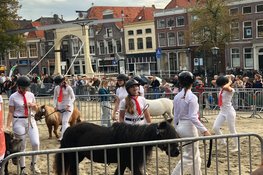 Landbouwdag brengt dieren en traditie naar Alkmaar