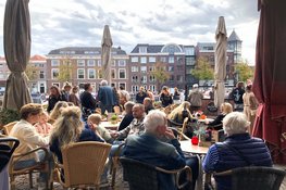 Landbouwdag brengt dieren en traditie naar Alkmaar