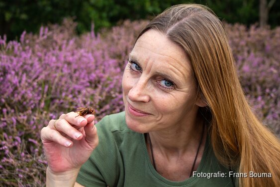 Insecten in de hoofdrol tijdens bijzondere lezing in Museum BroekerVeiling