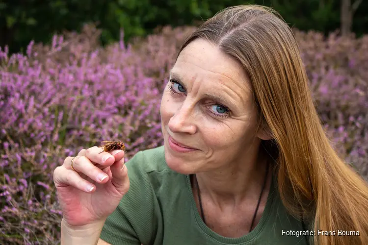 Insecten in de hoofdrol tijdens bijzondere lezing in Museum BroekerVeiling