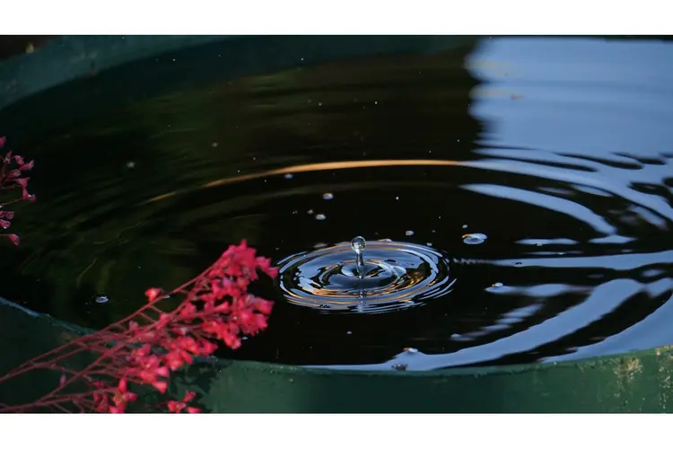 Nieuw subsidiebudget Klimaat en Water beschikbaar