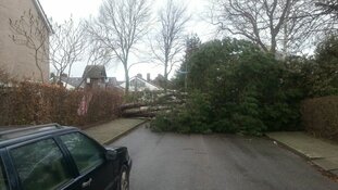 Storm treft Langedijk