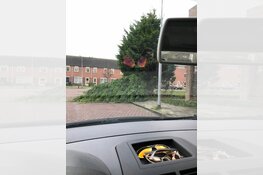 Storm treft Langedijk