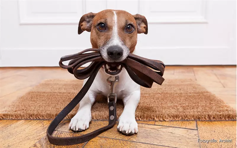 Losloopgebieden voor honden aangewezen