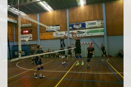 Dinto langs Spaarnestad