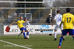 Vrone wint, LSVV en DTS onderuit